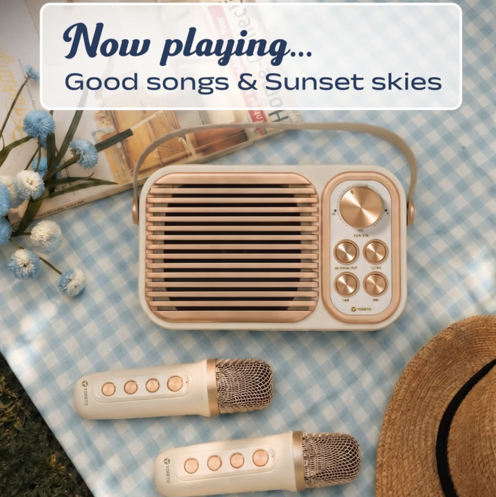 Groove to the Beat, Sing the Night Away: Why the Toreto Retro Mini is Your Ultimate Party Companion