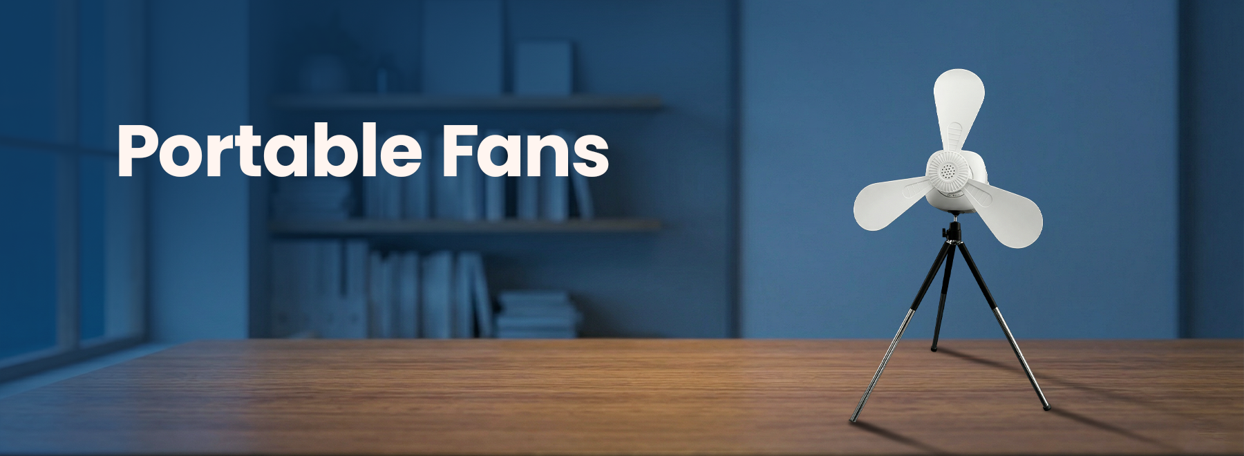 Portable fans